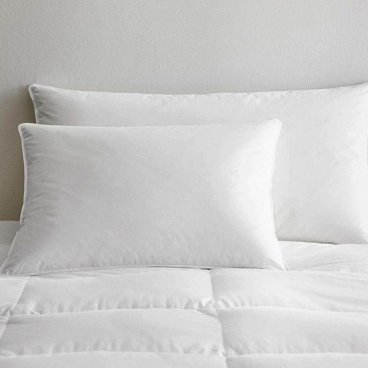 Sohum Luxury Cotton Microfibre Pillow