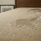 Sohum Mattress Protector | Waterproof | Terry