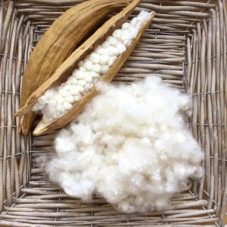 Sustainable kapok fiber filling inside seed pod for eco-friendly bedding