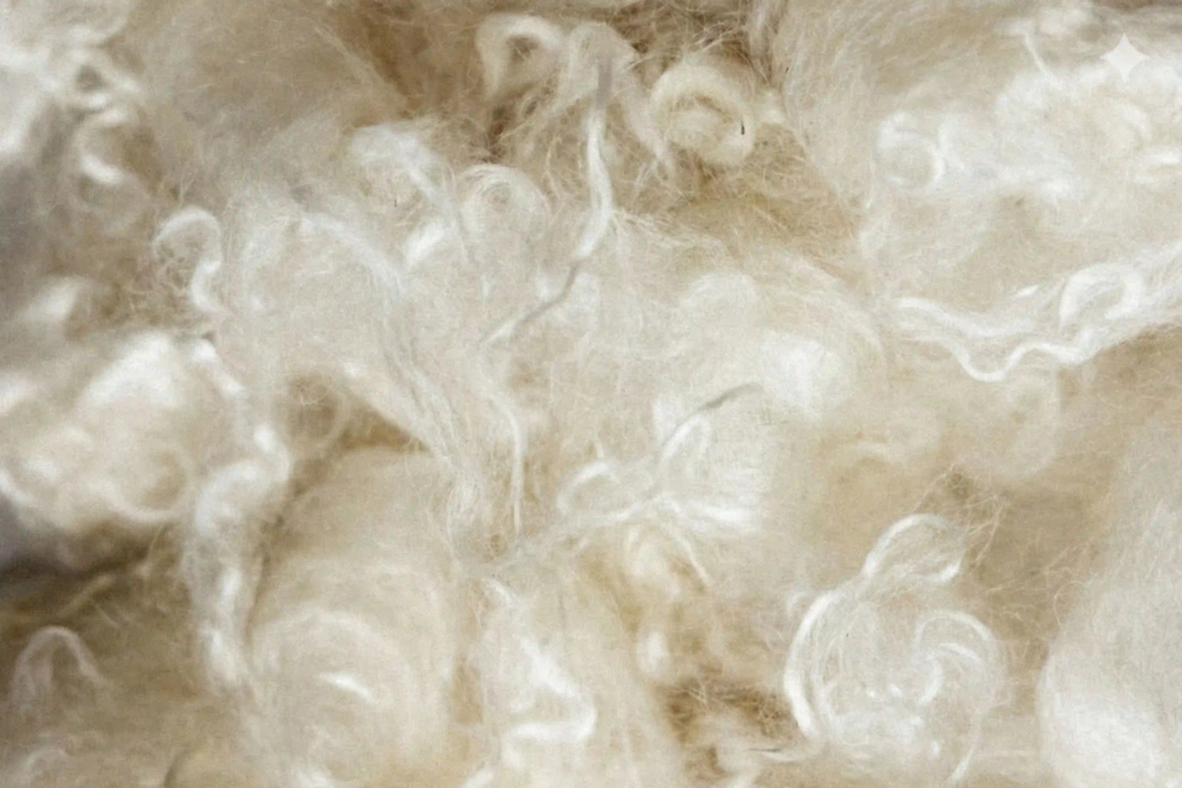 Natural kapok fiber used as soft pillow filling material.