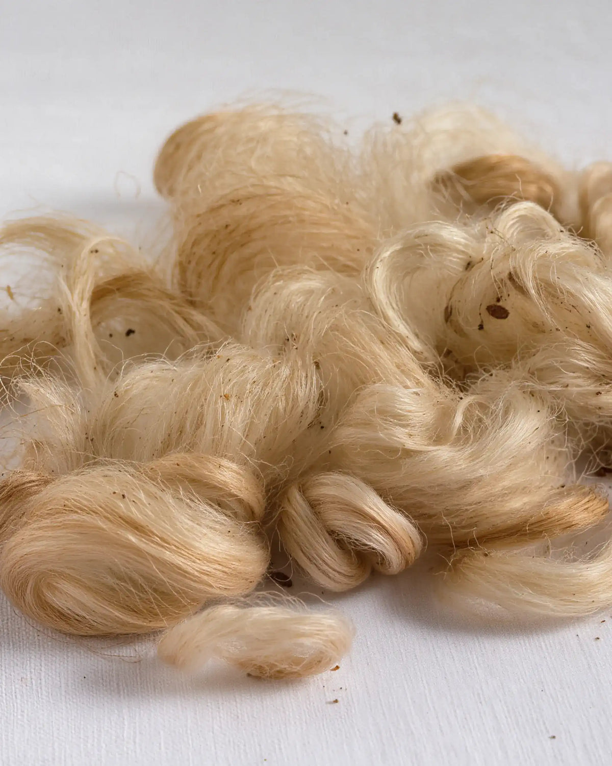 Natural raw silk fibers used for luxury bedding and premium textile production